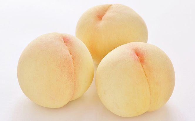 桃 2026年 先行予約 真面目な今井郁弥さん家の桃 白桃 白鳳 約1.8kg 6～8玉 フルーツ 果物 岡山 赤磐市産