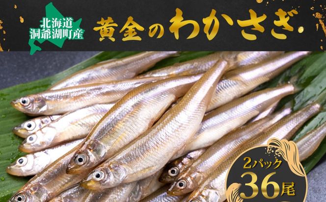 洞爺湖町産 黄金のわかさぎ 18尾×2P 計36尾 北海道産 ワカサギ わかさぎ 川魚 魚介類 産地直送 冷凍 お取り寄せ グルメ 料理 天ぷら フライ とうやマルシェ 北海道 洞爺湖町