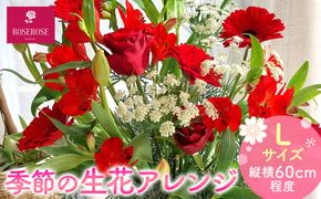 季節の生花アレンジ　Lサイズ 【 フラワー アレンジメント お花 ギフト プレゼント 贈り物 誕生日 お祝い 神奈川県 小田原市 】 142069_HQ003