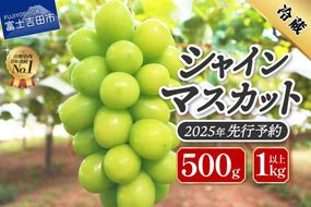 【2025年先行予約】ジューシーで甘さ抜群　厳選シャインマスカット【選べる容量 500g/1kg以上】 シャインマスカット ぶどう シャイン フルーツ 果物 先行予約 山梨 富士吉田