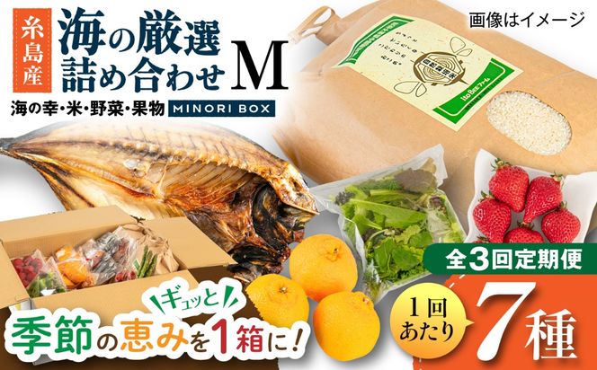 【全3回定期便】糸島産 魚 米 野菜 果物 厳選詰め合わせ MINORI BOX Mサイズ 糸島市 / emma.Inc / 米 魚 野菜 果物 詰め合わせ[AOP024]