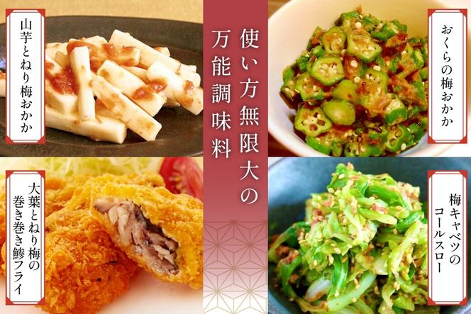 南高梅 梅おかか 200g×2袋 [春夏秋冬いっつもや 宮崎県 美郷町 31ab0137] ねり梅 和え物 簡単調理 便利 あっさり さっぱり 国産 セット 詰め合わせ 宮崎県産 常温 送料無料 贈答品 父の日 母の日 プレゼント ギフト 調味料 料理 調理 おかず 薬味 そうめん 素麺 フライ 揚げ 炒め 煮込み 普段使い 便利