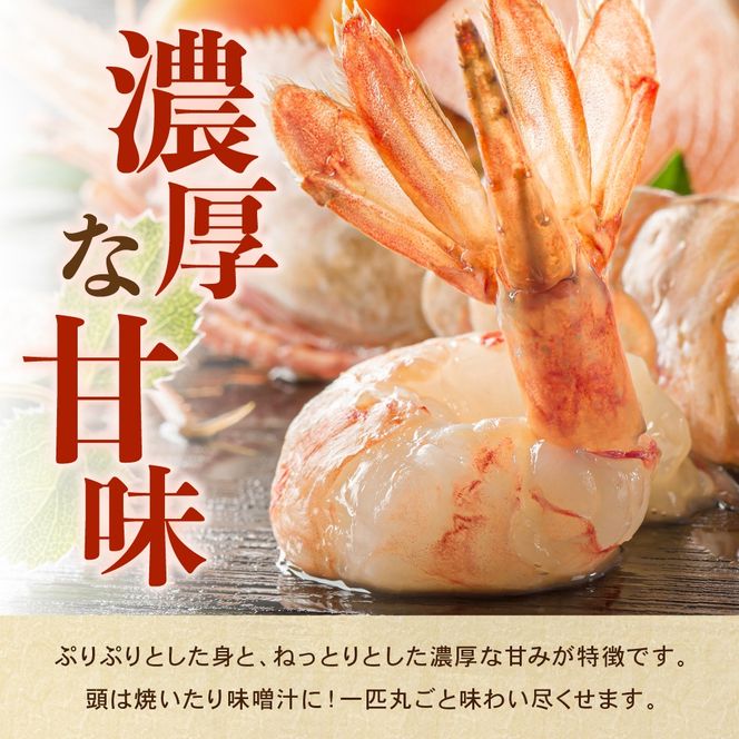 【漁師採りたて　留萌産】ボタンエビ　500ｇ×2　R006-019