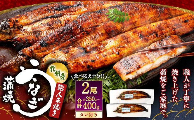 ＜うなぎ蒲焼 （175～200g）×2尾＞ 翌月末迄に順次出荷【c972_un_x3】