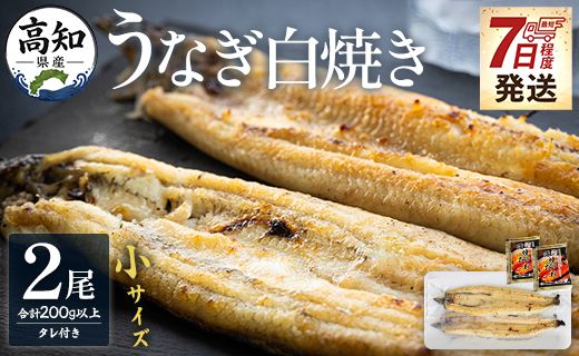 【7日程度で発送】高知県産うなぎの白焼き 小サイズ 2尾(合計200g以上) タレ付き - 鰻 ウナギ 有頭 スタミナ 夕飯 おつまみ 丼 のし対応可 ギフト 贈答  贈り物 早い スピード発送 7日程度 早く届く スピード配送 吉川水産 高知県 香南市【冷凍】 yw-0043