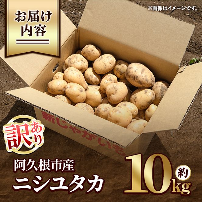 ＜先行予約受付中！2026年12月以降順次発送予定＞訳あり！じゃがいも ニシユタカ(10kg) 国産 鹿児島県産 阿久根市産 じゃがいも ジャガイモ 芋 ポテト にしゆたか 訳アリ 野菜 ポテトサラダ コロッケ 常温 常温配送 【慶越農園】akn107-07