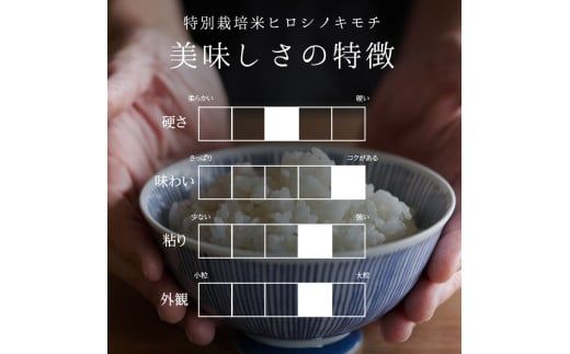 【9回定期】特別栽培米 コシヒカリ ヒロシノキモチ 精米 10kg 総計90kg ブランド米 銘柄米 国産 米 お米 日本米 ギフト 贈り物 備蓄 防災 食品 陽咲玲 はるざれ F6T-995