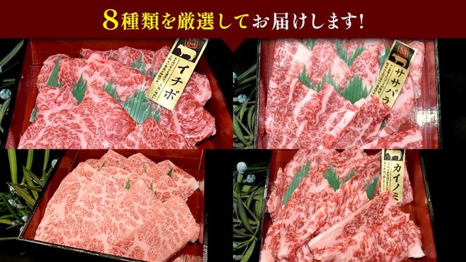y錧vszy 헤 󏭕 z ē Hה 8 Zbg ( 錧ʕԗi ) Y Ă o[xL[ BBQ  T[C o uh[BM052us]
