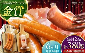 【全6回定期便】【ふるさと納税限定】TESIOの自家製フランク＆ボローニャセット (計380g) 豚肉 ハム ソーセージ 小分け 真空パック 沖縄市 / TESIO[BCAD017]