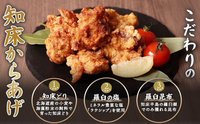 【レンジで簡単】知床からあげ【塩こうじ】もも500gセット（250g×2パック）【35038】