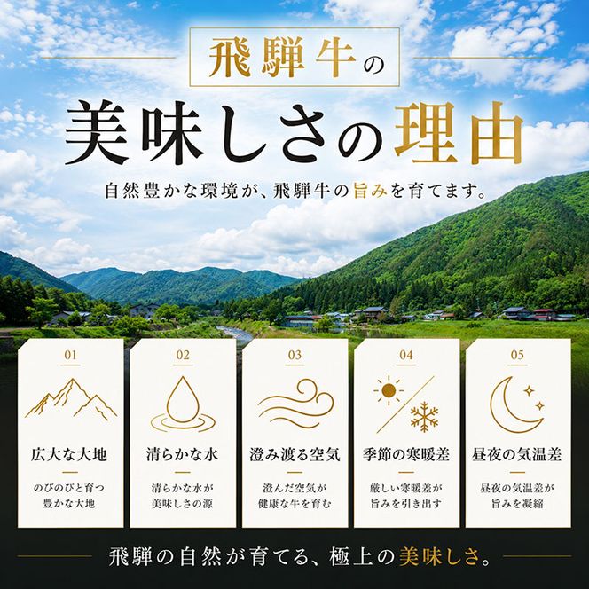 ふるさと納税　飛騨牛 牛肉 ステーキ ヒレ 150g×6枚 計900g A5 和牛 