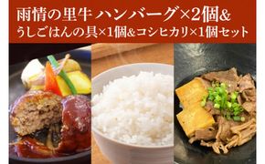 BX002　雨情の里牛ハンバーグ・うしごはんの具・コシヒカリのセット