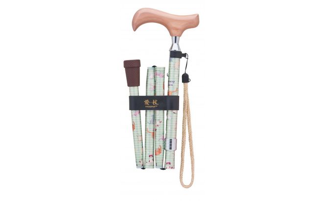 愛杖　プリティキャッツAN-13　ライトグリーン 141305_LY02VC03