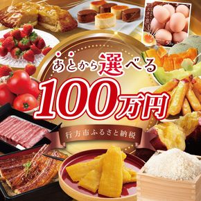 ★あとから選べる★茨城県行方市ふるさとギフト 寄附額：100万円分｜あとから選べる 後から選べる 選べる ギフト 肉 お肉 米 お米 コシヒカリ ミルキークイーン さつまいも サツマイモ 芋 お芋 うなぎ 干し芋 紅はるか スイーツ カタログ 100万円 茨城県 行方市 人気(CU-103)