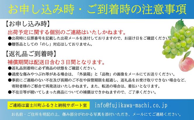 【2025年発送分 先行予約】 ジュエルマスカット～シャインマスカットの血を引く次世代のブドウとして注目されている希少な新品種～　1.１～1.4ｋｇ（２房） ジュエル マスカット フルーツ 山梨県産 果物 くだもの ぶどう ブドウ 葡萄 種なし 種無し 産地直送 先行予約 富士川町