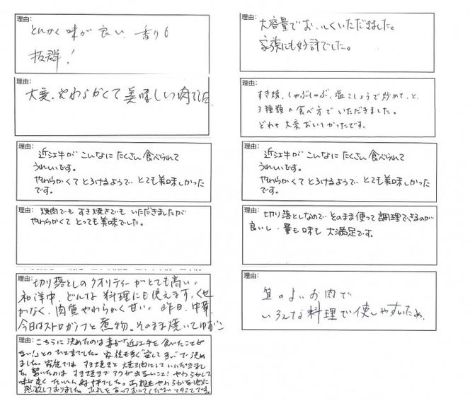 近江牛　切り落とし【1.6kg（800ｇ×2パック）】【K036W】（国産牛　和牛　ブランド牛　ブランド和牛　黒毛和牛　牛肉　肉　高級　人気　おすすめ　神戸牛　松阪牛 に並ぶ 日本三大和牛 近江牛）