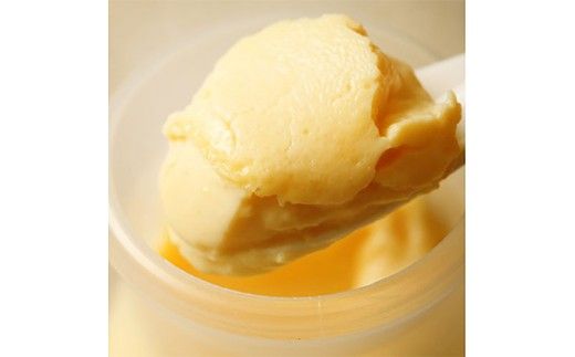 【昭和39年創業】こがね町プリン8個セット 北海道 滝川市 銘菓 お菓子 スイーツ ご当地 お土産