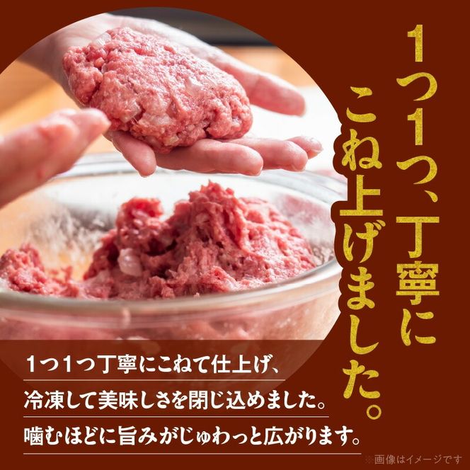 宮崎牛ハンバーグ100ｇ×10個 N124-YD0199