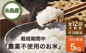 【全12回(月1回)定期便】 栽培期間中 農薬不使用のお米 ヒノヒカリ 5kg 糸島市 シーブ [AHC043] お米  5kg 送料無料 ギフト 5キロ 無農薬 栽培期間中 米 定期便