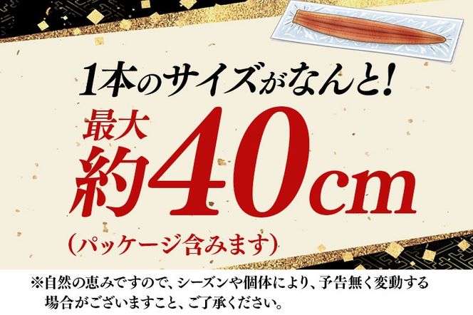真あなご蒲焼＜煮穴子＞ 400g 韓国産 宮城県 利府町|06_rku-080101