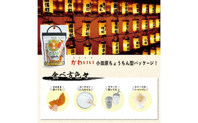 無添加ドライフルーツ(キウイ)16g×2袋入【 神奈川県小田原市 】 142069_HU002