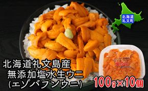 先行予約 北海道 礼文島産  塩水ウニ （ エゾバフンウニ ）100g×10  生うに うに 雲丹  魚貝類 生ウニ 海の幸 肴 つまみ 海鮮 生もの 北海道産