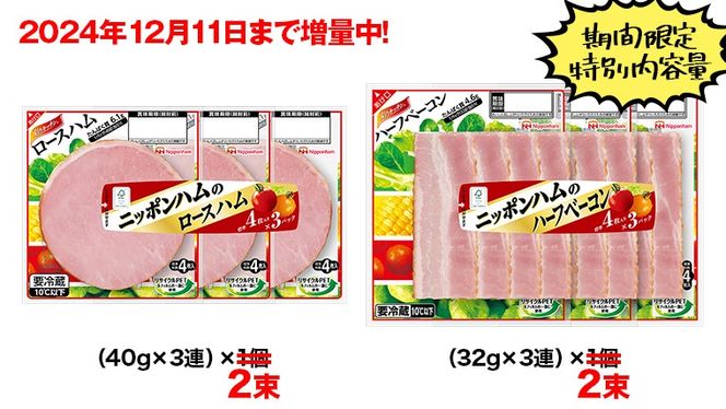 【 期間限定 特別内容量 】 日本ハム お弁当 セット ( 合計12袋 ⇒ 合計22袋 ) 肉 にく シャウエッセン ウィンナー ソーセージ チーズ ハム ベーコン チキン ナゲット [AA092ci]