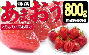 定期便 3ヶ月 いちご あまおう 800g 特選 あまおう 2027年2月より発送 イチゴ 苺 フルーツ 果物 デザート 3回 お楽しみ ※配送不可：離島 