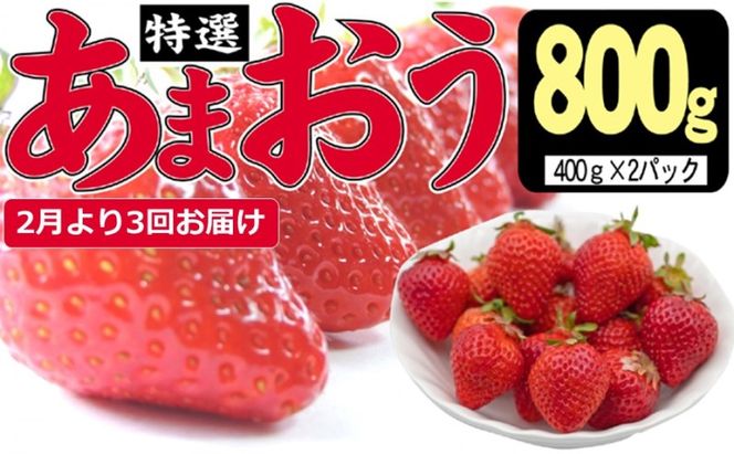 定期便 3ヶ月 いちご あまおう 800g 特選 あまおう 2027年2月より発送 イチゴ 苺 フルーツ 果物 デザート 3回 お楽しみ ※配送不可：離島 
