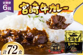 カレー 6回 定期便 レトルト 宮崎牛カレー 160g 12袋 総計72袋 [九州産商 宮崎県 日向市 452061183] 小分け ビーフカレー 宮崎 牛 常備食 保存食 中辛 宮崎牛 備蓄