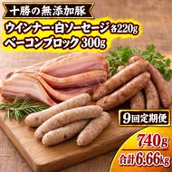9ヵ月定期便 十勝の無添加豚 ウインナー・白ソーセージ20本前後とベーコンブロック 300g ［うらがみミート］ 無塩せき 保存料・結着剤不使用【 ベーコン ウインナー 詰め合わせ 肉 豚 国産 惣菜 おつまみ 料理 加工品 北海道 十勝 幕別 】