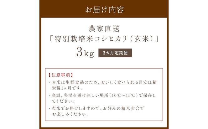 【3ヶ月定期便】2026年産 京都・京丹後峰山 特別栽培米コシヒカリ 3kg 【玄米】 1等米 検査済証付　ふるさと納税 米 玄米 定期便 京都 コシヒカリ 特別栽培 ふるさと納税 玄米 定期便　MF00086