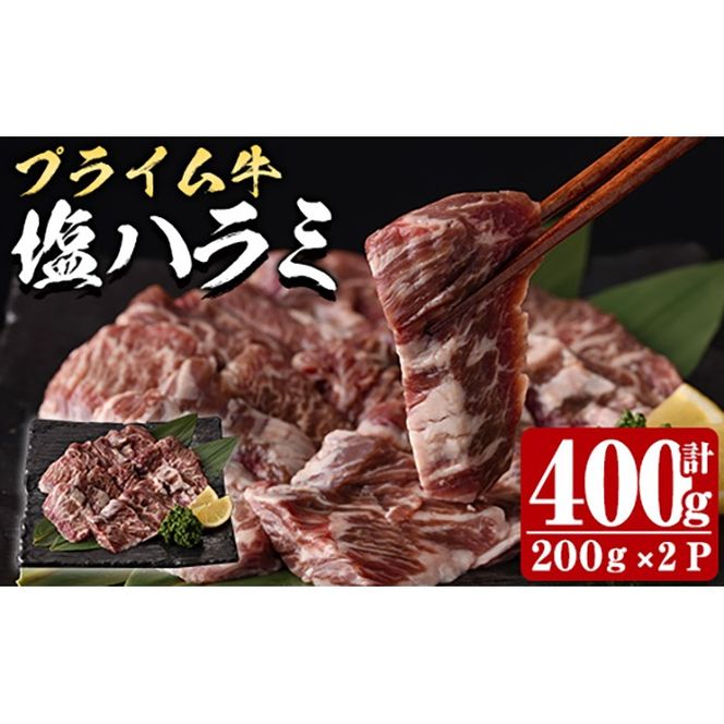 y啪szvC n~(v400g)    n~ ͂ t ē  BBQ Ⓚ 啪 syDH295zy()lNTz