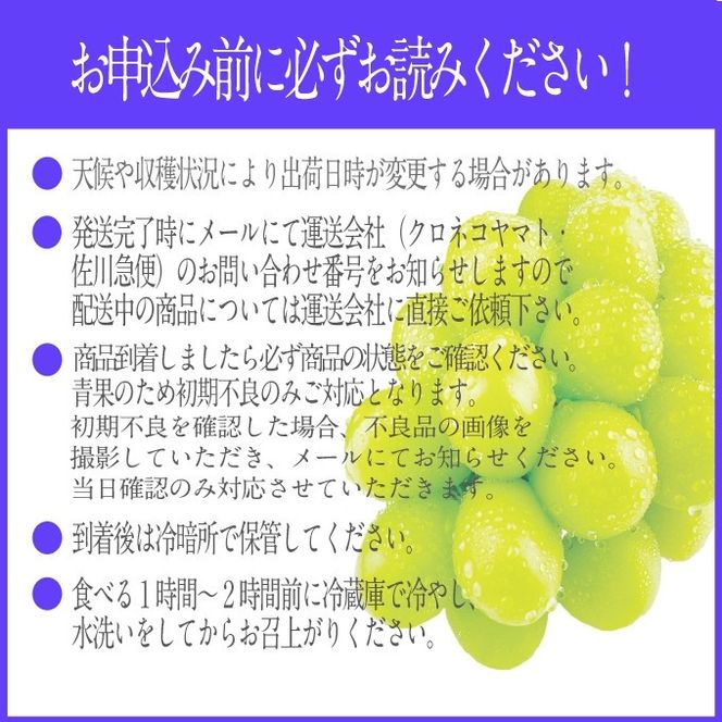 2026年予約受付中 シャインマスカット晴王2房 約1.4kg 7月～8月出荷 人気 岡山県産 種無し 皮ごと食べる みずみずしい フレッシュ 晴れの国 おかやま 果物大国 ハレノフルーツ