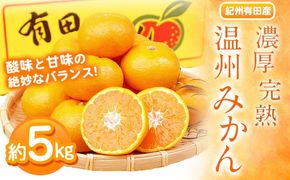 【先行予約】紀州有田産 濃厚完熟温州みかん 約5kg 魚鶴商店《2026年11月下旬-2027年1月下旬頃出荷》 和歌山県 日高川町 みかん 温州みかん 完熟 濃厚 柑橘---wshg_uot170_11g1g_25_13000_5kg---