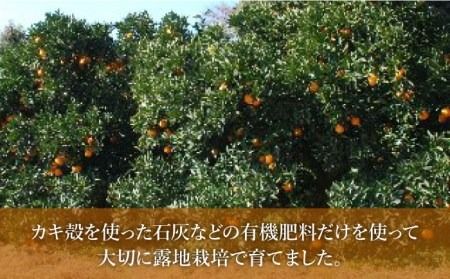 yszystzYl[u 5kg y2026N2{ȍ~z@s / V[u [AHC029] Y  IW ݂ k L@ ͔| W[X W }l