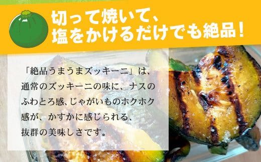 希少！「絶品うまうまズッキーニ」サイズ色々 2～5個 農薬を使わず、特許製法のシリカ水で栽培する特別な野菜 11月～3月順次発送【 沖縄県石垣市 希少 丸ズッキーニ だるまズッキーニ 野菜 採れたて 離島のいいもの 沖縄いいもの石垣島 】OI-12