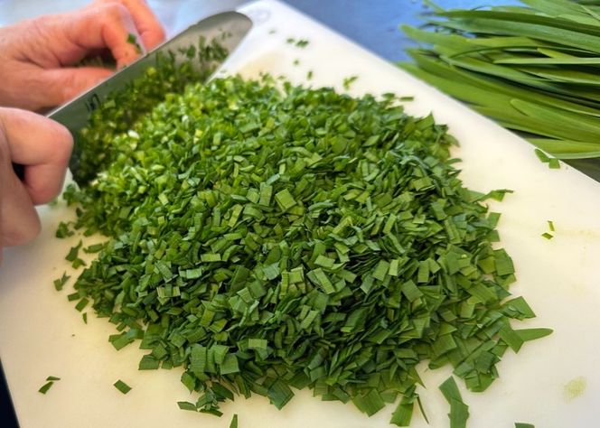 【定期便9ヶ月】餃子専門店青春餃子　豊岡餃子10個入り×3パック 30個（計270個）