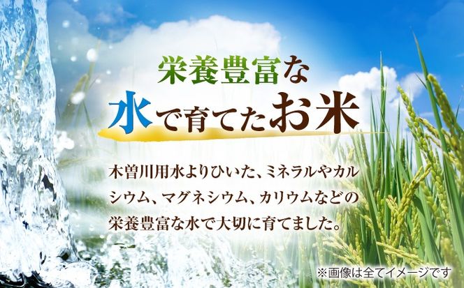 あいちのかおり 白米 5kg / 脇野コンバイン[AECP001]