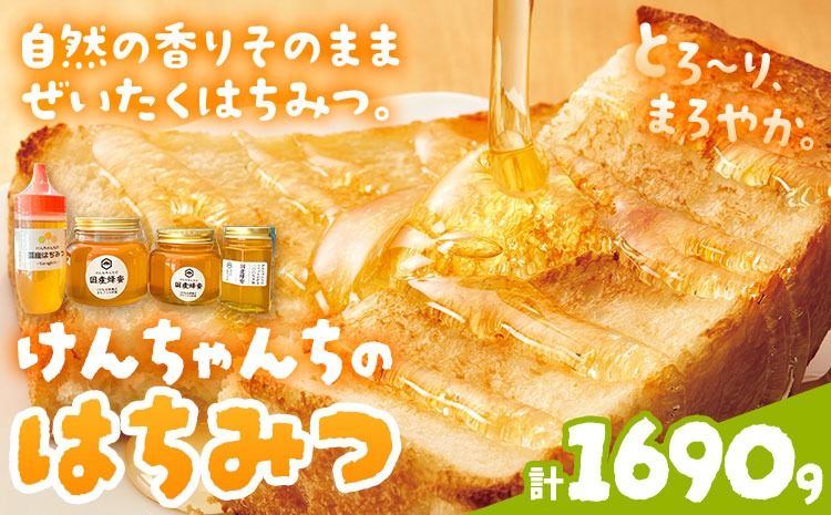 けんちゃんちのはちみつ 200g 300g 460g 730g 全部セット[30日以内に出荷予定(土日祝除く)]ふるさと納税 はちみつ ハチミツ 蜂蜜 国産蜂蜜 天然蜜蜂 徳島県 佐那河内村 送料無料---tsm_mkf8_30d_25_28500_1690g---