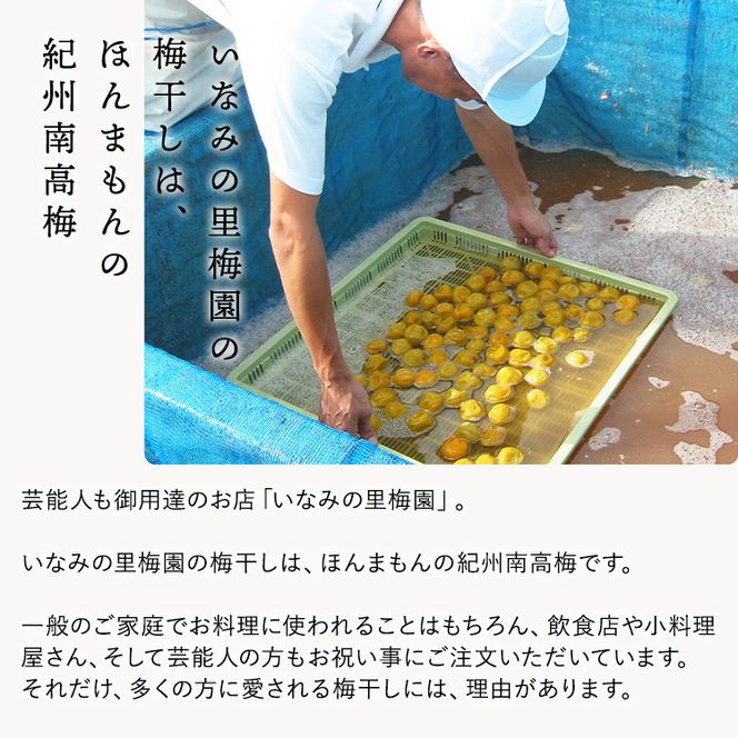 紀州南高梅　しそ風味梅干　1.2kg　ご家庭用 | 1200g 国産 ※北海道・沖縄・離島への配送不可