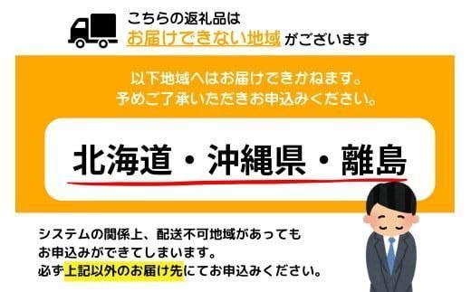 ＜最短10営業日以内発送＞5～6人前 絶品塩もつ鍋セット（600g）