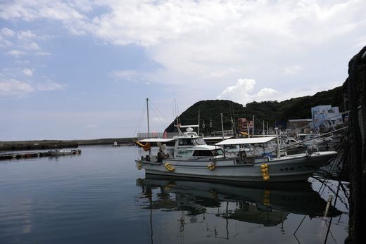 【数量限定】佐田岬海士のさざえ2kg ※北海道・東北地方・沖縄・離島への配送不可 IKTJ003