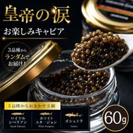 【お試しキャビア】皇帝の涙 60g 3品種からランダムで3個（オシェトラ・ホワイトスタージョン）国産 チョウザメ キャビア