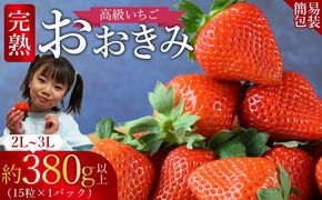 ＜高級いちご 「おおきみ」（15粒入り×1パック約380g以上）簡易包装＞2025年1月上旬から4月末迄に順次出荷【 いちご イチゴ 苺 先行予約 甘い 大きい 果物 フルーツ 季節物 】【b0858_sn】