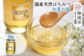 【数量限定】2025年産 国産天然蜂蜜（初夏の蜜）1kg【蜂蜜 パンケーキ ヨーグルト 甘み フルーティ とろとろ】(H049118)