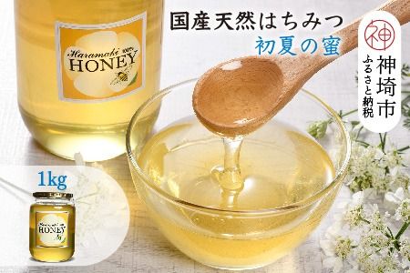 【数量限定】2024年産 国産天然蜂蜜（初夏の蜜）1kg【蜂蜜 パンケーキ ヨーグルト 甘み フルーティ とろとろ】(H049118)