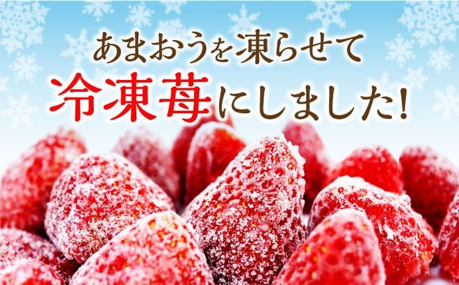福岡県産【博多冷凍あまおう】約500g×2袋 合計約1kg《築上町》【株式会社H&Futures】[ABDG005]