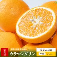 和歌山県産　カラマンダリン　約5kg　家庭用_ZE6503