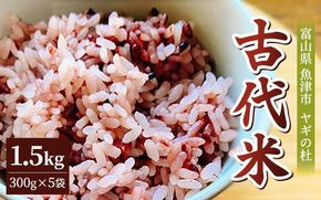 古代米（玄米）1.5kg（300g×5袋） 富山県 ヤギの杜 魚津市 ｜こめ コメ お米 おこめ 黒米 赤米 緑米 ビタミン びたみん ミネラル みねらる 伏流水 自慢 富山 魚津※北海道・沖縄・離島への配送不可